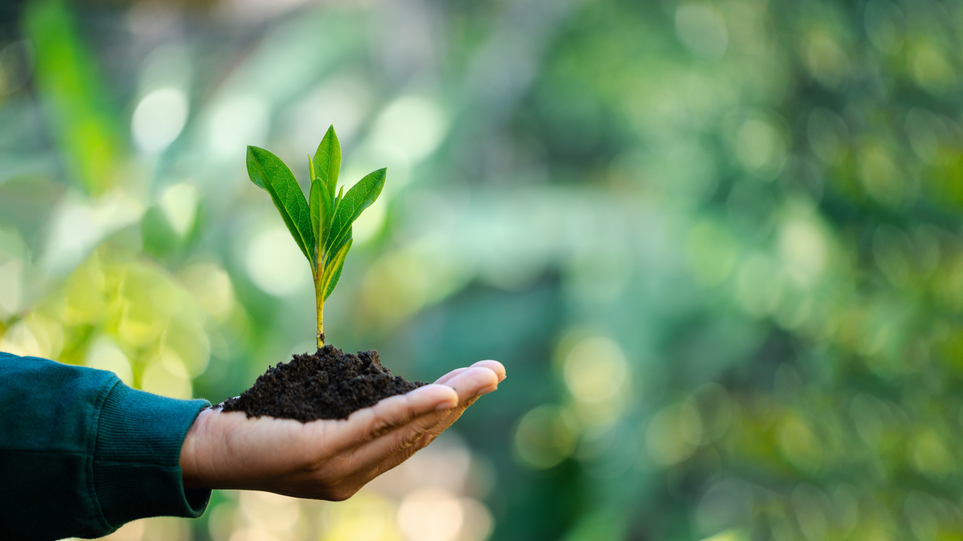 prime-cage-sustainability-image-fhd