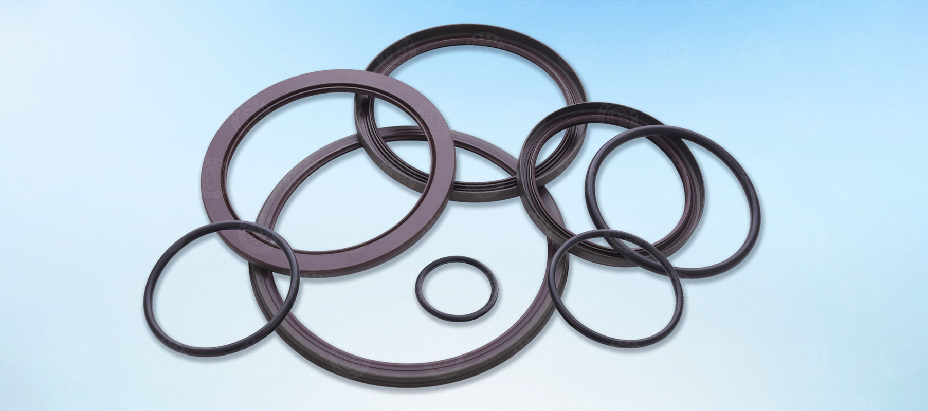 Group of Sealing Solutions Products